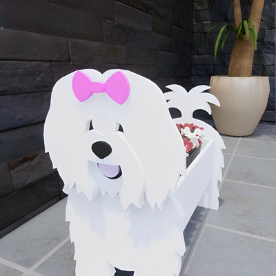 Coton de Tulear Pflanzgefäß